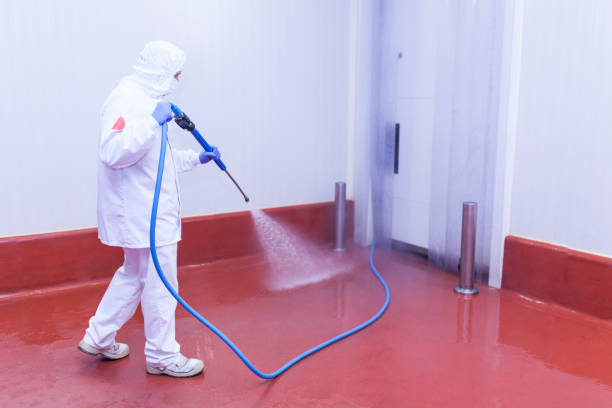 Best Parking Lot Cleaning in Whitesboro, TX